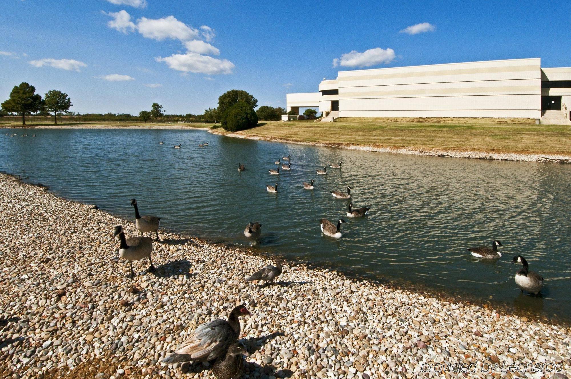 Nced Conference Center & Hotel Norman Konforlar fotoğraf
